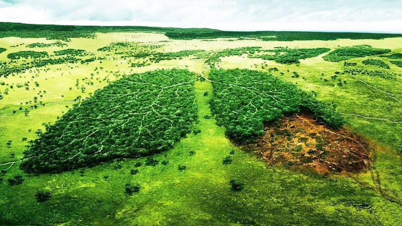 گرد و غبار هم پولساز می شود/ از سال «یخ بزن و بمیر!» چه شنیدهایم؟