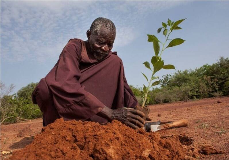 گرد و غبار هم پولساز می شود/ از سال «یخ بزن و بمیر!» چه شنیدهایم؟