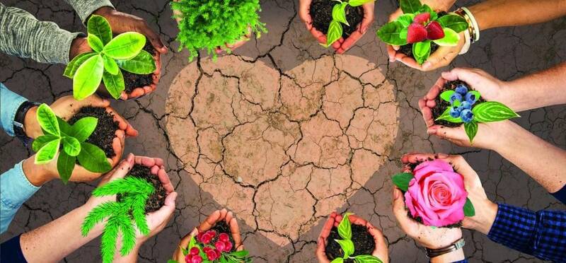 گرد و غبار هم پولساز می شود/ از سال «یخ بزن و بمیر!» چه شنیدهایم؟