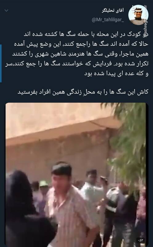 کاش این سگها را به محل زندگی همین افراد بفرستید +فیلم