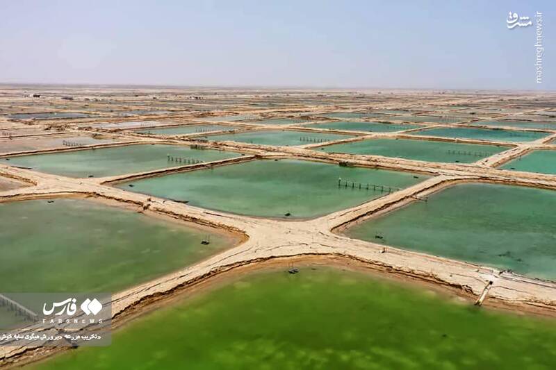 عکس/ تخریب مزرعه پرورش میگو در سایه خوش