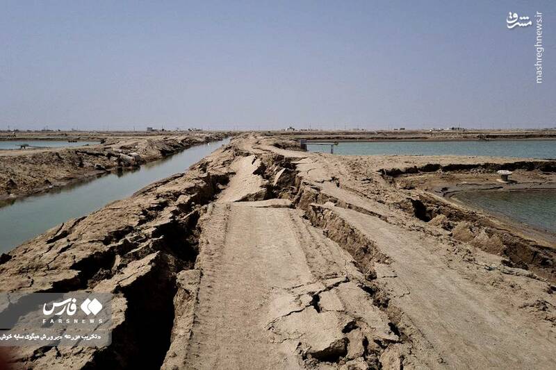 عکس/ تخریب مزرعه پرورش میگو در سایه خوش