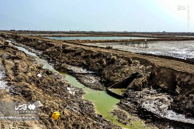 عکس/ تخریب مزرعه پرورش میگو در سایه خوش