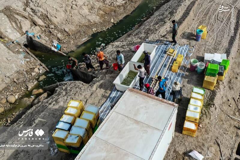 عکس/ تخریب مزرعه پرورش میگو در سایه خوش