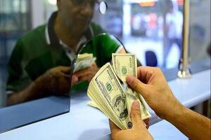 دلار، سیاست زدگی را کنار گذاشت