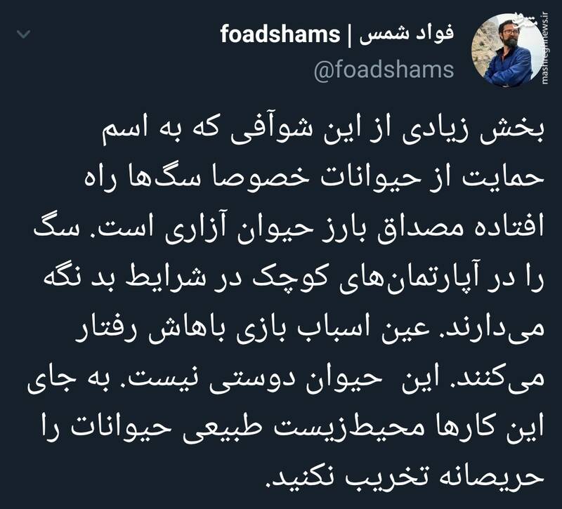 به این کارها حیوان دوستی نمیگن