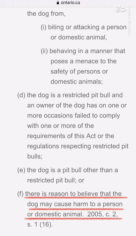 این فرهنگ ضد ایرانی تکثیر سگهای خیابانی را چه کسانی در ایران رواج دادند؟
