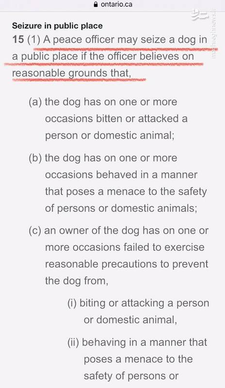 این فرهنگ ضد ایرانی تکثیر سگهای خیابانی را چه کسانی در ایران رواج دادند؟