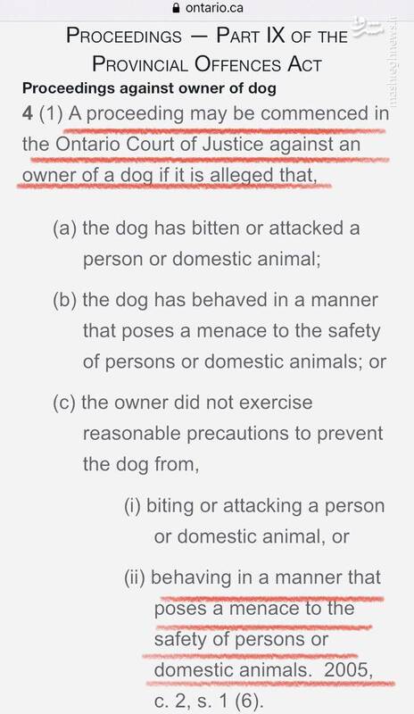 این فرهنگ ضد ایرانی تکثیر سگهای خیابانی را چه کسانی در ایران رواج دادند؟