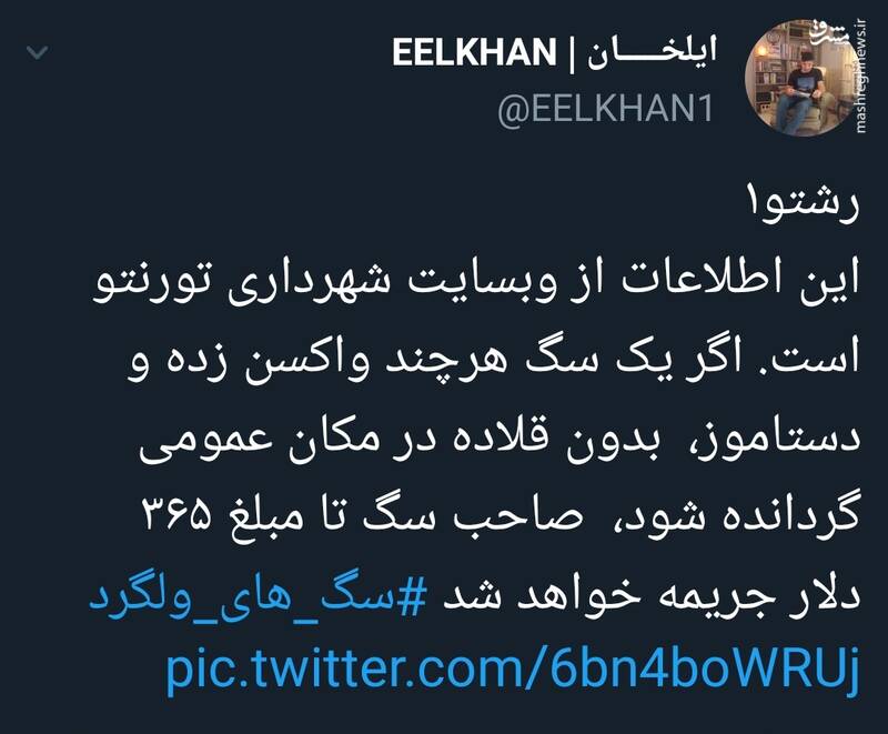 این فرهنگ ضد ایرانی تکثیر سگهای خیابانی را چه کسانی در ایران رواج دادند؟