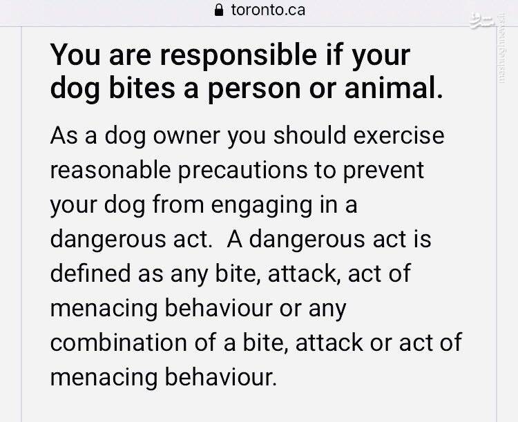 این فرهنگ ضد ایرانی تکثیر سگهای خیابانی را چه کسانی در ایران رواج دادند؟