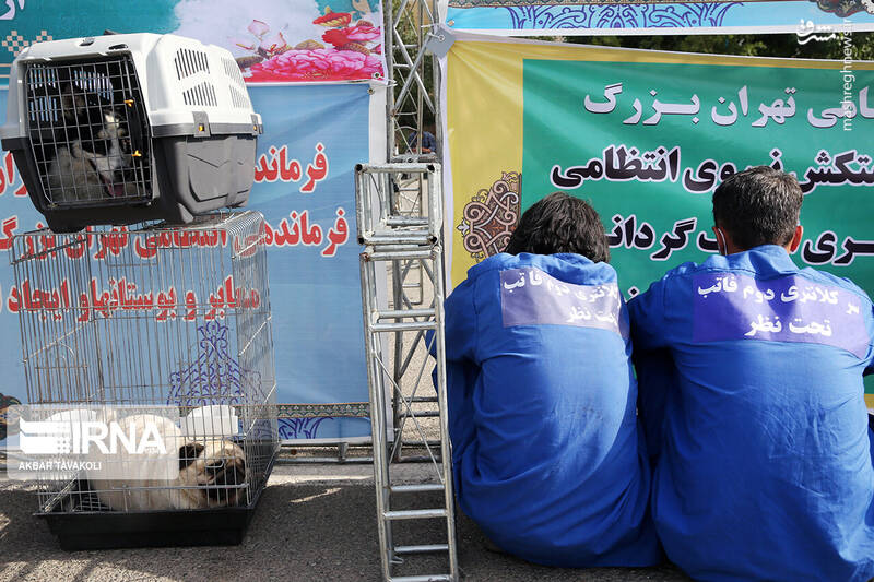 عکس/ انهدام ۲۲ باند سرقت در تهران