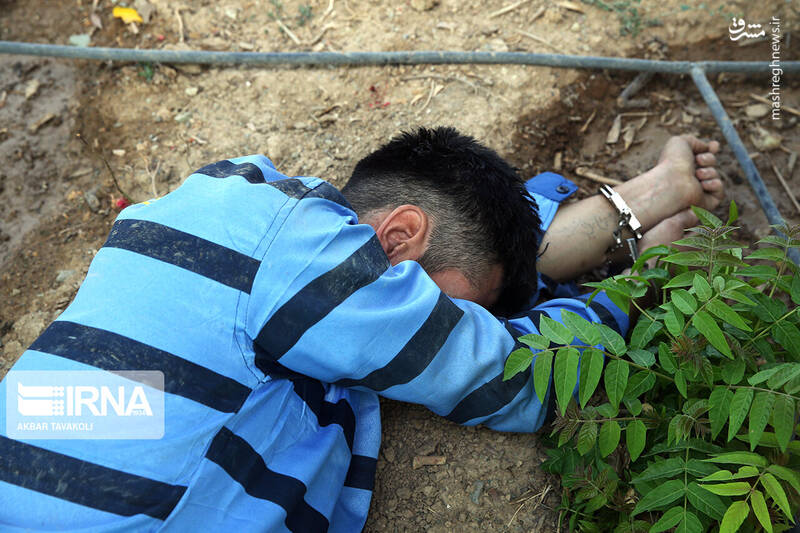 عکس/ انهدام ۲۲ باند سرقت در تهران