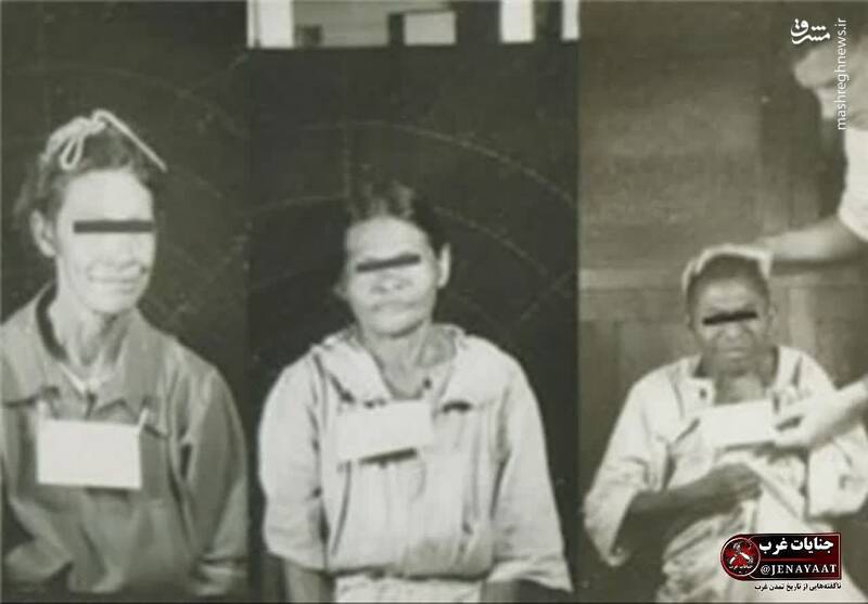 ۵۰۰۰ هزار موش آزمایشگاهی گواتمالایی!