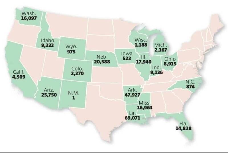 بیل گیتس از تجارت جدیدش رونمایی کرد