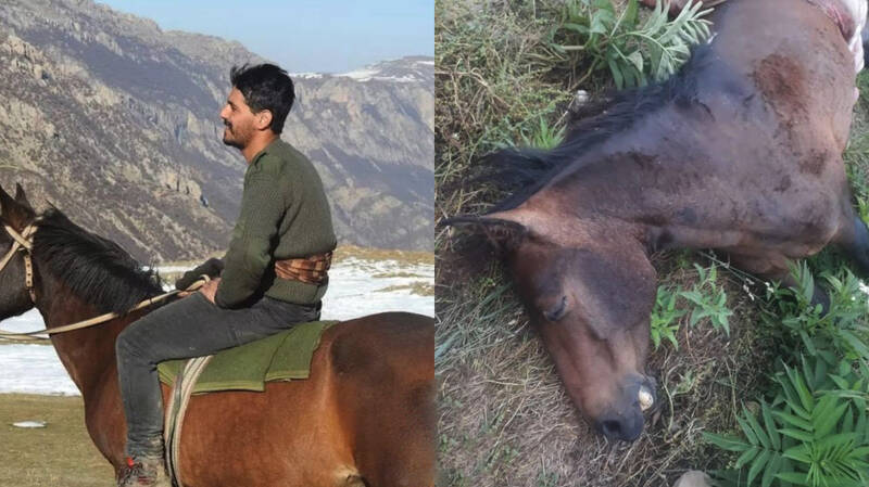 بلایی که شکارچیان بر سر «کمند» آوردند +عکس