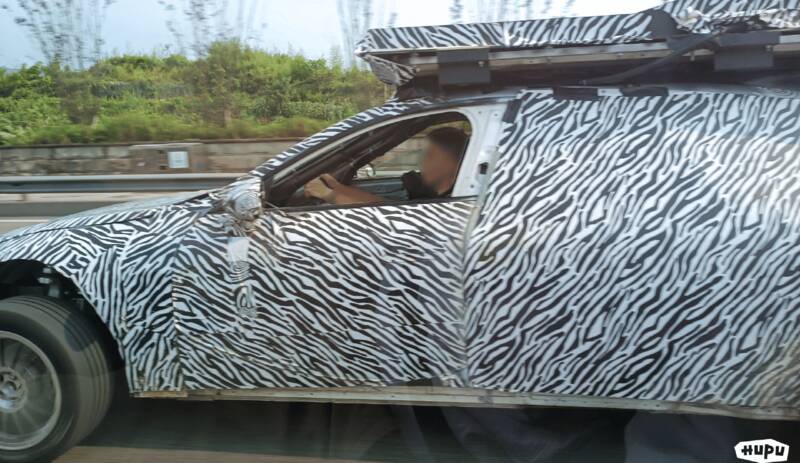 شکار خودروی پرنده در کف خیابان