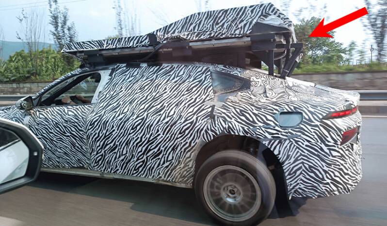 شکار خودروی پرنده در کف خیابان