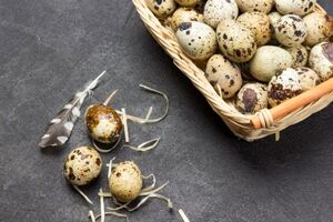 آیا تخم کبوتر کودکان را به حرف میآورد؟