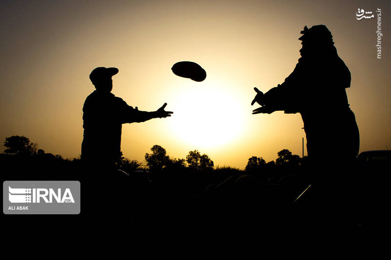 عکس/ برداشت خربزه در سرخه