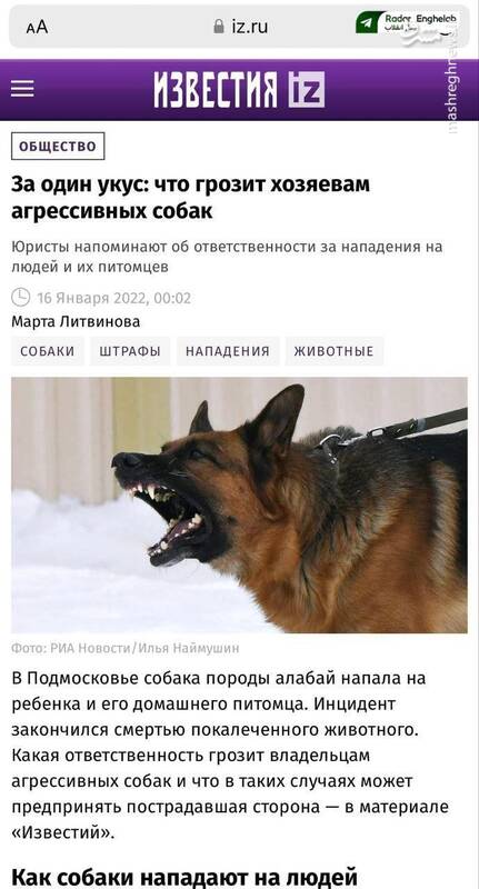 پلیس با ممنوعیت ورود سگ به پارک در صدد چیست؟