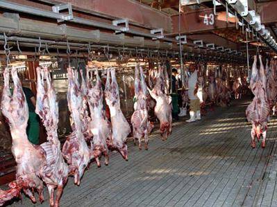 اقتصاد حج حلقه مغفول در خودکفایی امت اسلامی