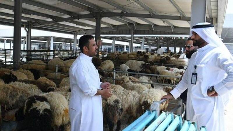 اقتصاد حج حلقه مغفول در خودکفایی امت اسلامی