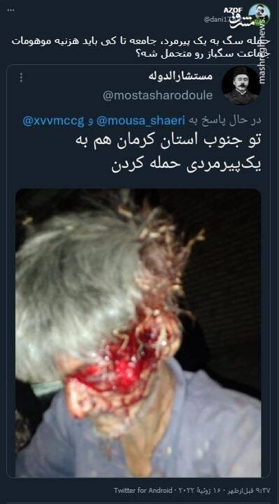 جامعه تا کی باید هزینه موهومات جماعت سگباز رو متحمل شه؟ +عکس