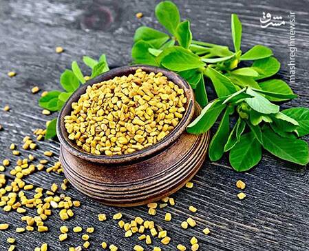گیاهان موثر در کاهش قند خون + عکس 6