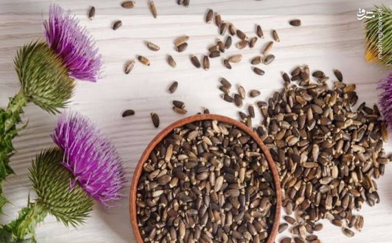 گیاهان موثر در کاهش قند خون + عکس 3