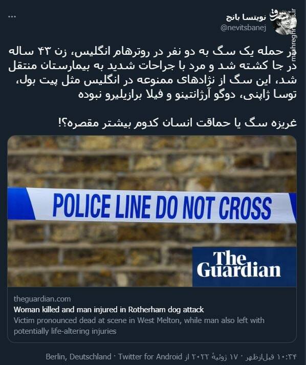 غریزه سگ یا حماقت انسان کدوم بیشتر مقصره؟!