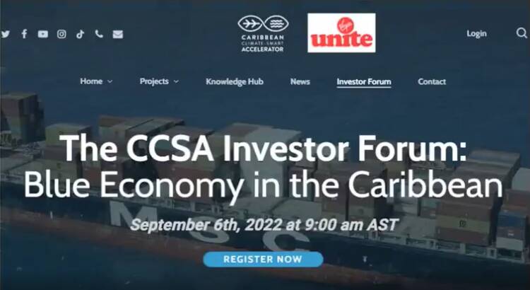 آیا زلنسکی و ارتش اوکراین در قاچاق انسان و فحشای سازمانیافته دست دارند؟ +عکس و فیلم