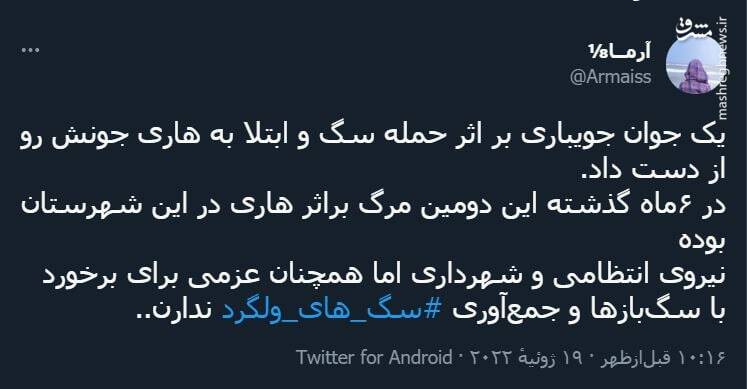 سگ هار جان دومین قربانی خود را در جویبار گرفت