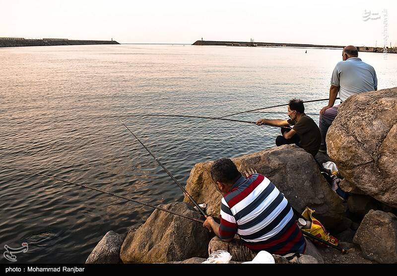 عکس/ ماهیگیری در پارک ساحلی بندر انزلی