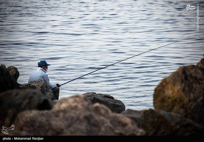عکس/ ماهیگیری در پارک ساحلی بندر انزلی