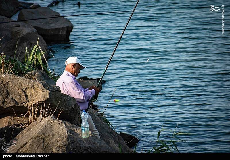 عکس/ ماهیگیری در پارک ساحلی بندر انزلی