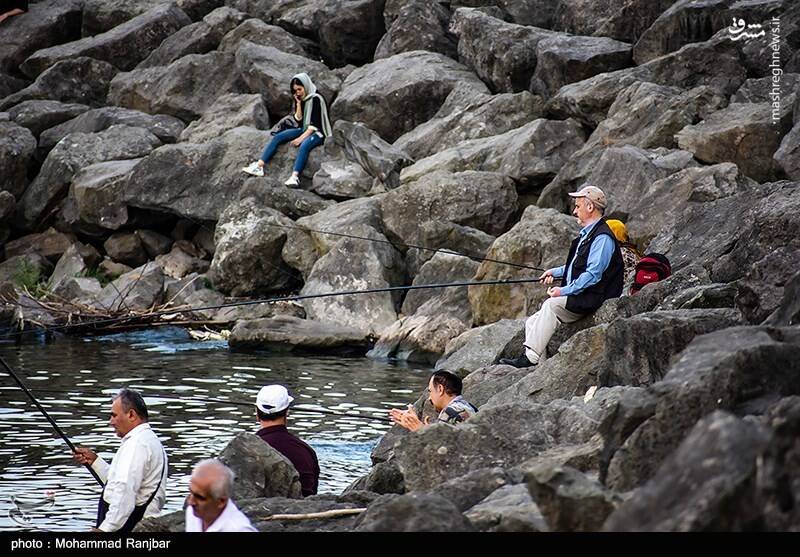 عکس/ ماهیگیری در پارک ساحلی بندر انزلی