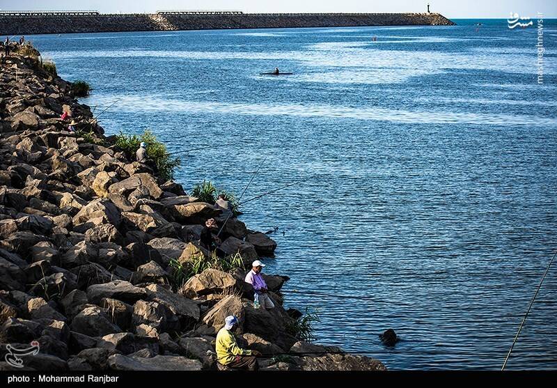 عکس/ ماهیگیری در پارک ساحلی بندر انزلی