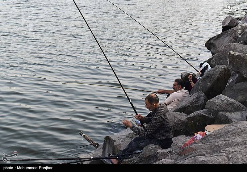 عکس/ ماهیگیری در پارک ساحلی بندر انزلی