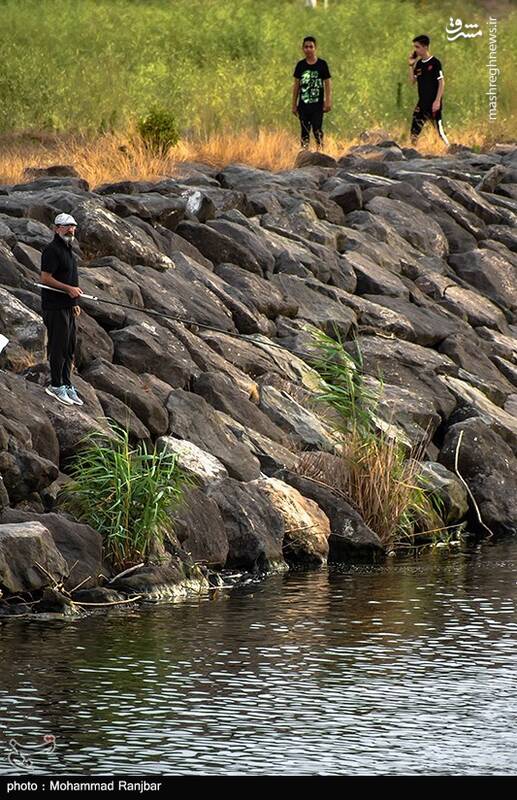 عکس/ ماهیگیری در پارک ساحلی بندر انزلی