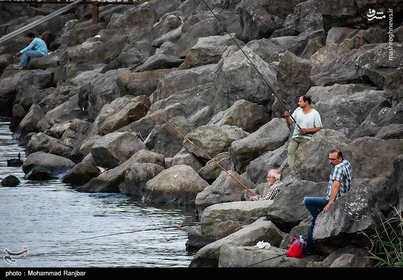 عکس/ ماهیگیری در پارک ساحلی بندر انزلی