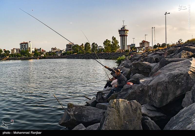 عکس/ ماهیگیری در پارک ساحلی بندر انزلی