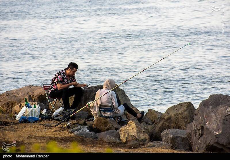عکس/ ماهیگیری در پارک ساحلی بندر انزلی