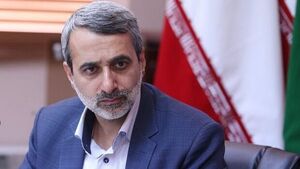 نماینده مجلس: خدمات آژانس به ایران با حجم نظارتها تطابقی ندارد