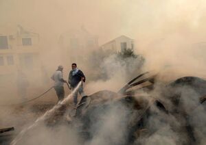 عکس/ تخلیه جزیره توریستی با وقوع آتش‌سوزی