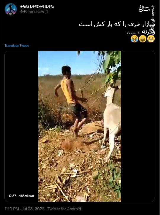 الاغی که یک حیوانآزار را آدم کرد!+ فیلم