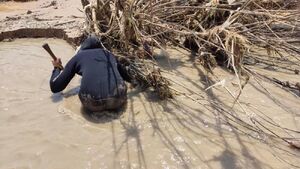 «آلان» از آب درنیامد؛ فقط دل خراشید «آلان» از آب درنیامد؛ فقط دل خراشید