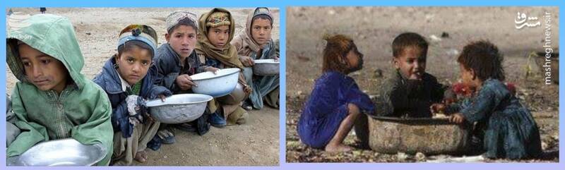 تفاوت گربه های غربی با کودکان یمنی+ عکس