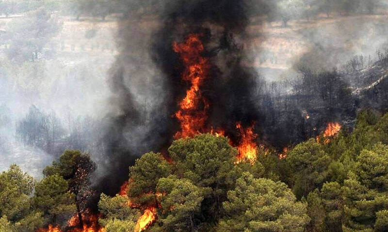 آینده تاریک وابستگی غذایی به کشورهای بزرگ/ آمران نظم نوین جهانی شما را به خوردن حشرات و گوشت انسان وادار میکنند+عکس و فیلم