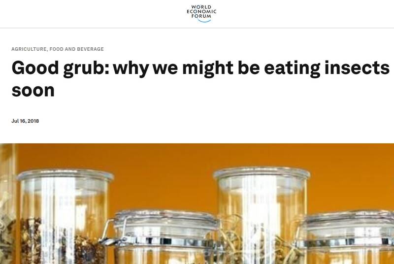 آینده تاریک وابستگی غذایی به کشورهای بزرگ/ آمران نظم نوین جهانی شما را به خوردن حشرات و گوشت انسان وادار میکنند+عکس و فیلم